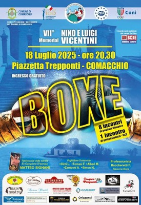 VII Memorial Nino Vicentini - Boxe competition