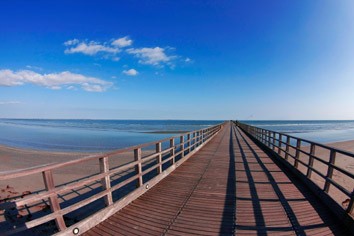 Iat Mobile - Ufficio Informazioni e Accoglienza Turistica Lido di Volano