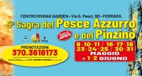 Sagra del pesce azzurro e del pinzino