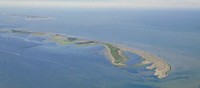 Noto anche come Isola dell'Amore, lo scannone è un recentissimo lembo di terra emerso come conseguenza dell'avanzamento deltizio del Po.