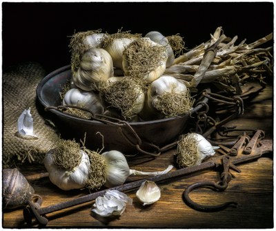 Aglio di Voghiera DOP