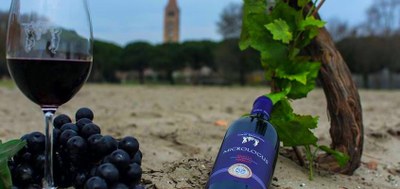 Vini del Bosco Eliceo DOC