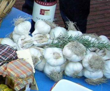 Bruschette all'aglio