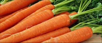 Carota del Delta ferrarese