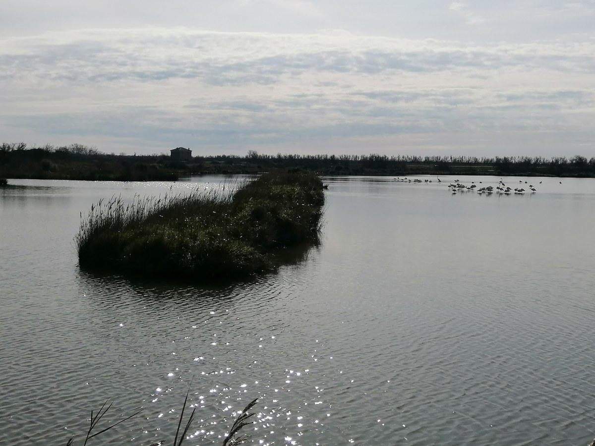 Oasi di Canneviè e Porticino