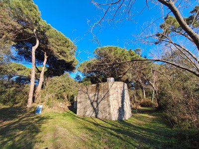 Il percorso Bunkermemo racconta la storia della Seconda guerra mondiale attraverso bunker e fortificazioni, offrendo un’esperienza culturale e turistica.