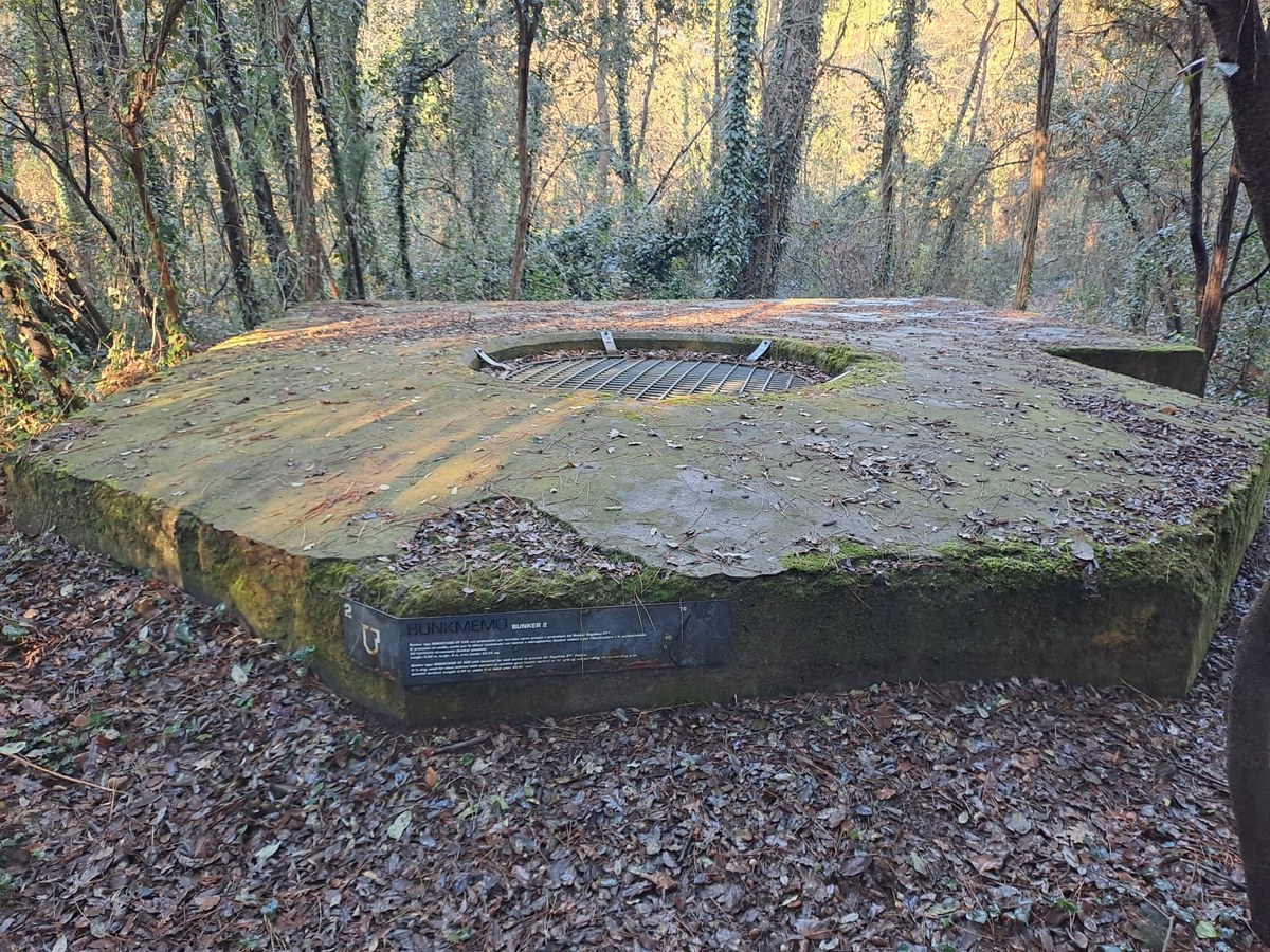 Bunker di tipo Regelbau 668