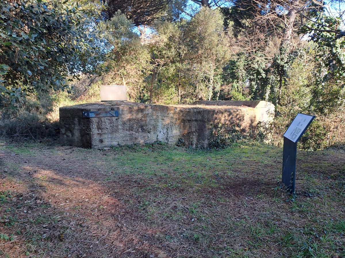 Bunker di tipo Ringstand VF 31