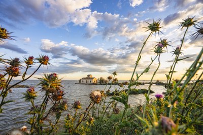 Un itinerario tra terra, acqua e fenicotteri rosa 