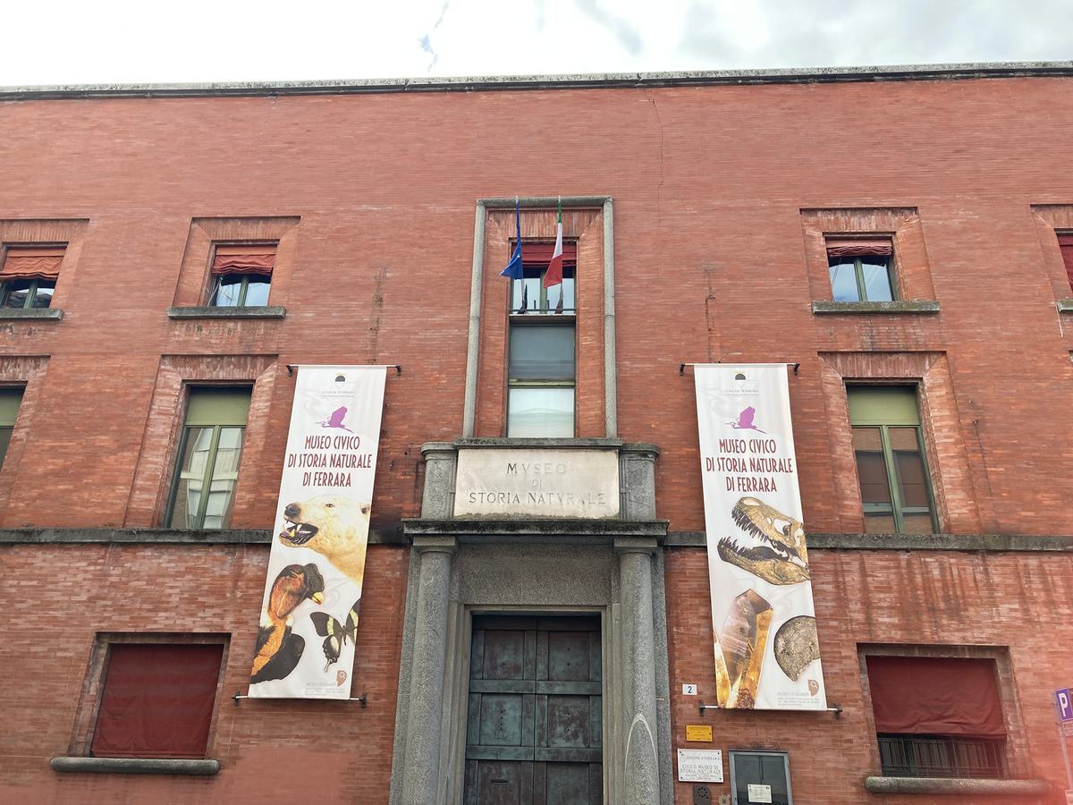 Museo di Storia Naturale