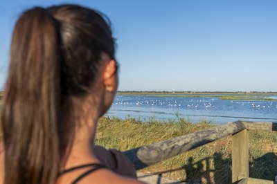 Figure turistiche professionali