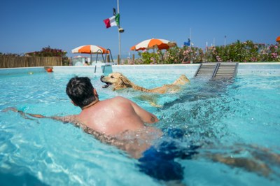 Imprese turistiche e agenzie immobiliari Pet Friendly