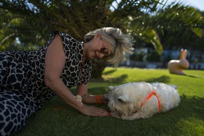 Servizio di guardia veterinaria notturna e festiva estiva