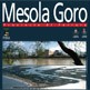 Mesola Goro