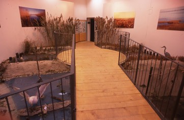 Museo del Cervo