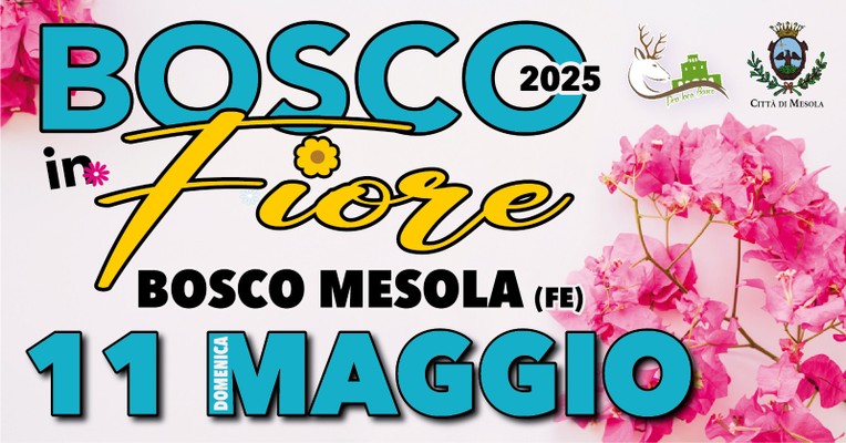 Immagine dell'evento