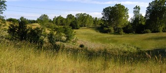 Riserva Naturale Orientata Dune Fossili di Massenzatica