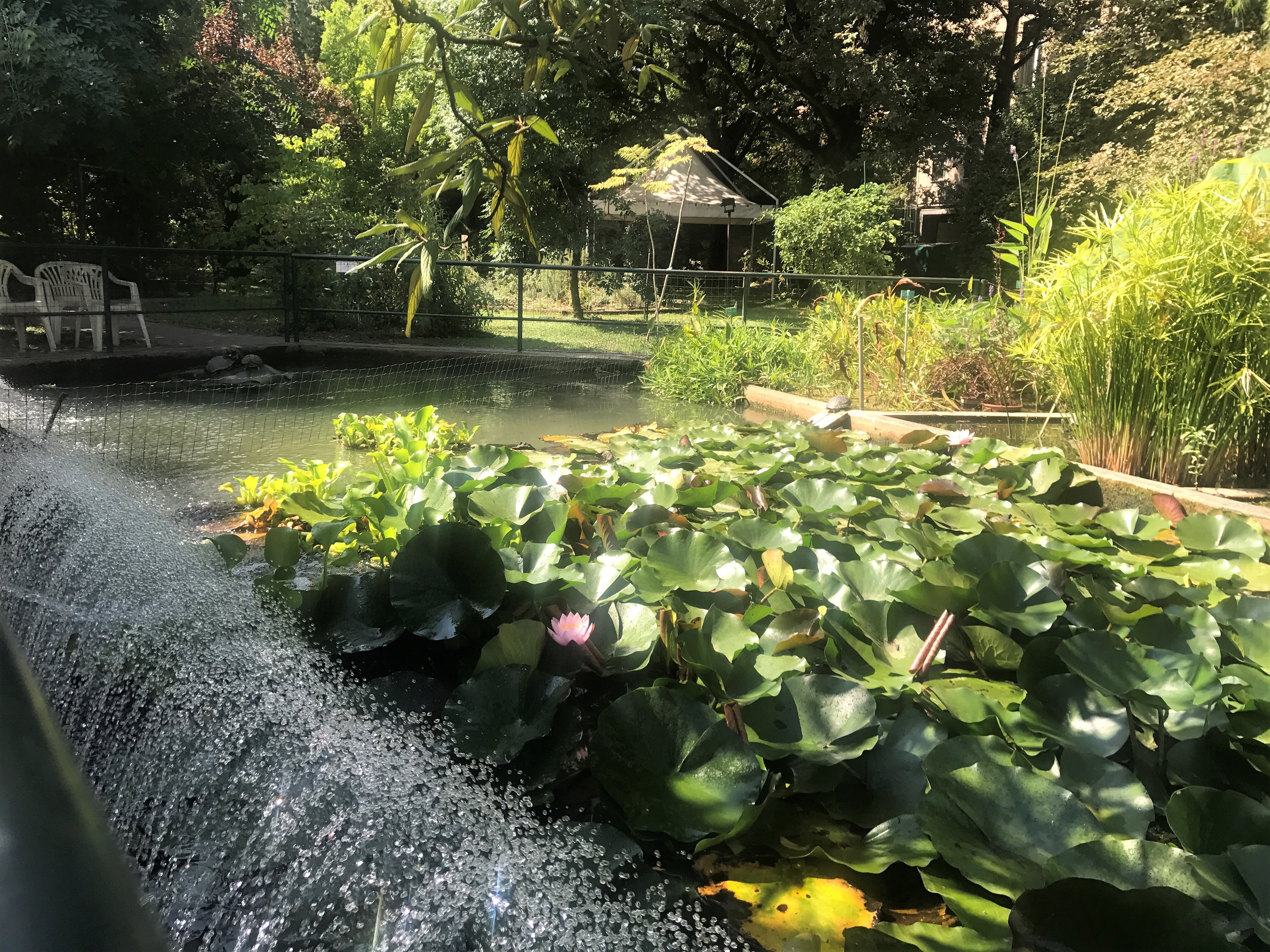 Orto botanico
