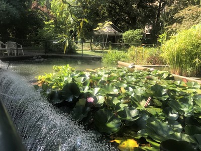 Orto botanico