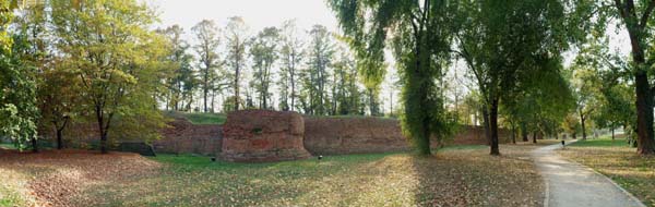Mura