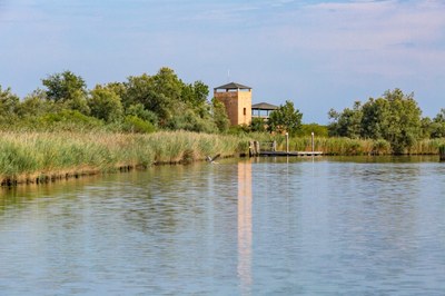 Birdwatching al vecchio faro
