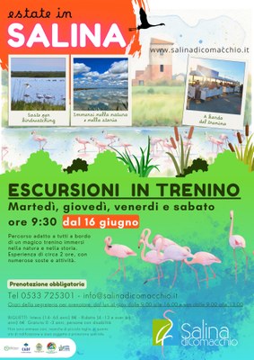 Estate in Salina - Escursioni in trenino