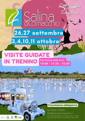 Visite guidate in trenino alla Salina di Comacchio - Speciale Sagra dell'anguilla