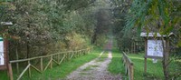 Il Bosco della Panfilia, oasi di protezione della fauna, si è formato circa tre secoli fa, in stretta relazione con le vicende idrogeologiche del fiume Reno. 