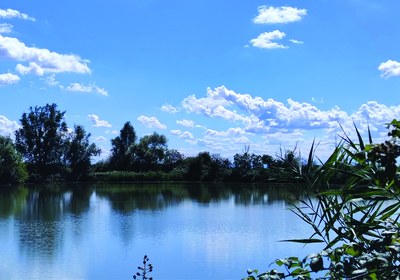 Anse Vallive di Porto – Bacino di Bando