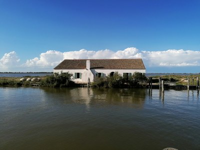 Valli e Salina di Comacchio - Oasi di Boscoforte