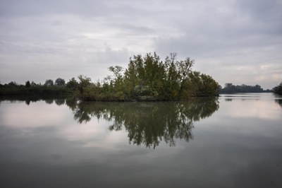 Anse Vallive di Ostellato - Parco Delta del Po