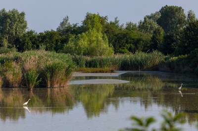 Valli di Argenta - Oasi di Campotto - Parco del Delta del Po