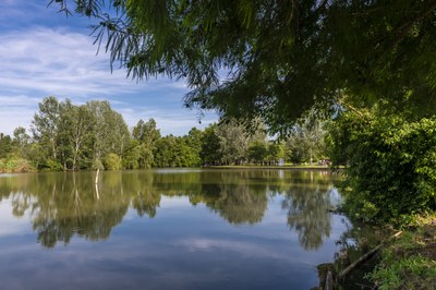 Parco urbano G. Bassani