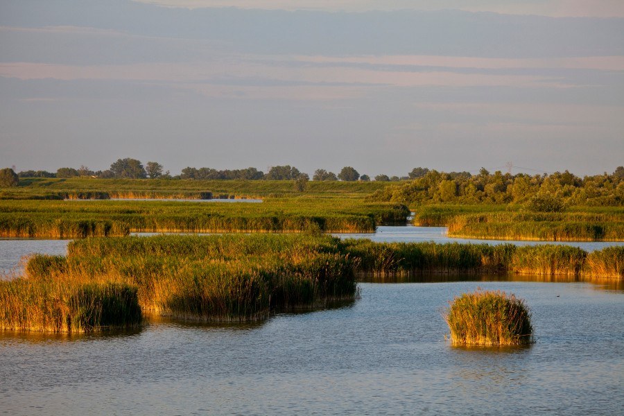 Un territorio dominato nel passato dalla presenza delle acque che hanno lasciato segni profondi nell'ambiente, nella natura, nella vita dell'uomo