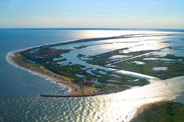 Area del Parco del delta del Po - Stazione 1