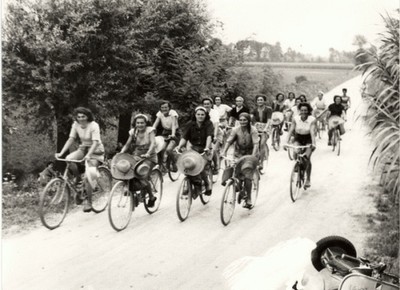 Mondine tornano in bici dalle risaie