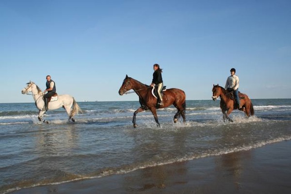 A cavallo nel delta