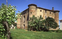 Palazzo del fantino.jpg