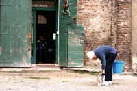 La quiete di Piazzetta Bartolucci