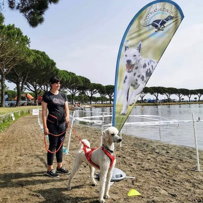 Dog Sport Experience