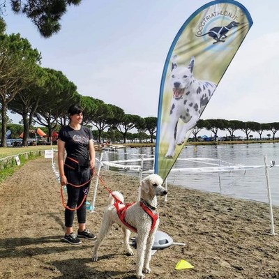 Dog Sport Experience