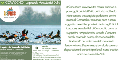COMACCHIO - la piccola Venezia.png