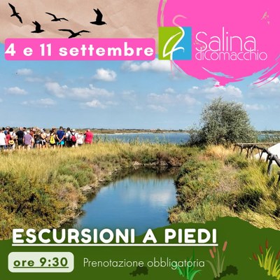 Escursioni a piedi nella Salina di Comacchio